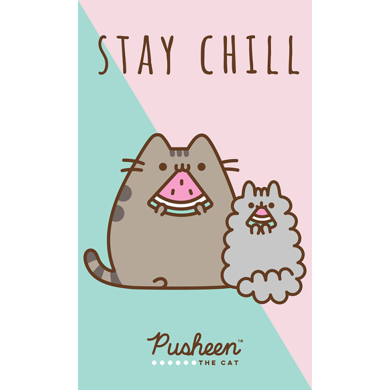 Ručník Kočička Pusheen Stay Chill